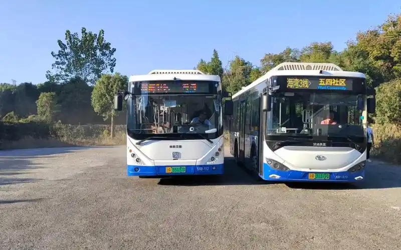 【奉贤公交】海湾1线&海湾3线 瞭海路海农公路站 摄于2023年10月31日