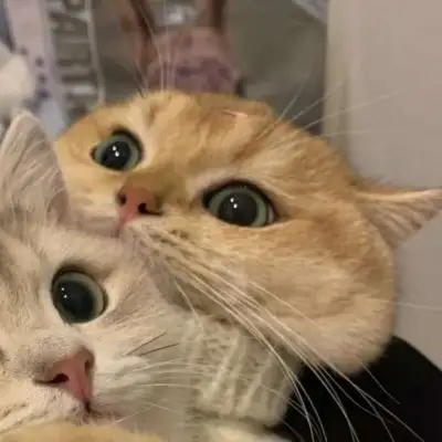 情侣头像_我要个性网