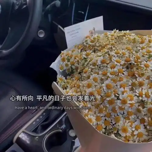 背景图温柔 文字系