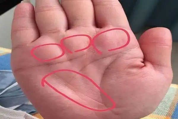 少见的5种富贵命手婚姻幸福财富爆满福禄寿俱全