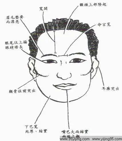 男人耳朵形状与命运图解