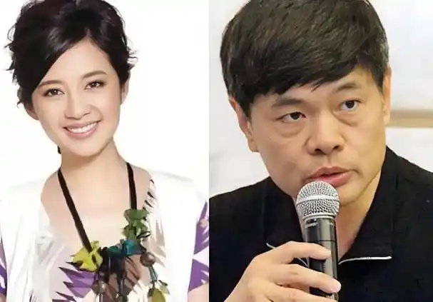 面对公众的质疑,丁健曾公开表示,与前妻离婚与许戈辉无关.