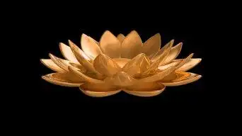 金色莲台-莲花-alpha通道视频素材