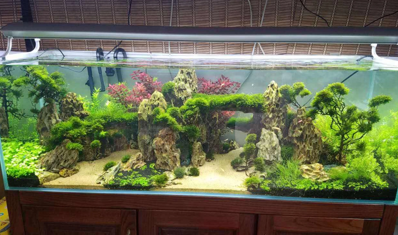 鱼缸水景 - 2020年最新商品信息聚合专区 - 百度爱采购