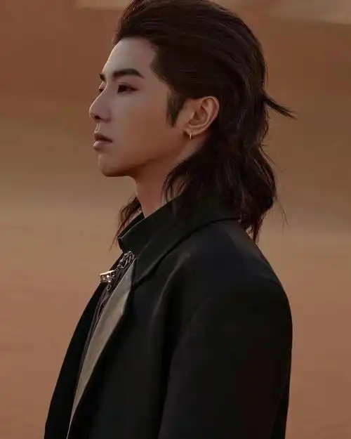 华样又宝藏的华晨宇