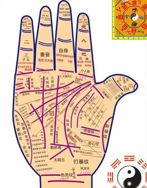 这篇文章主要介绍了中国传统手相学中关于断掌的观念,并解释了与断掌