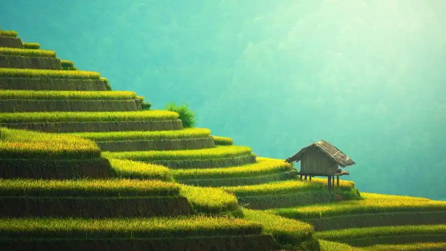 自然景观梯田绿色护眼风景大片壁纸