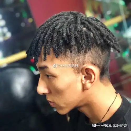 有什么半头脏辫的发型推荐