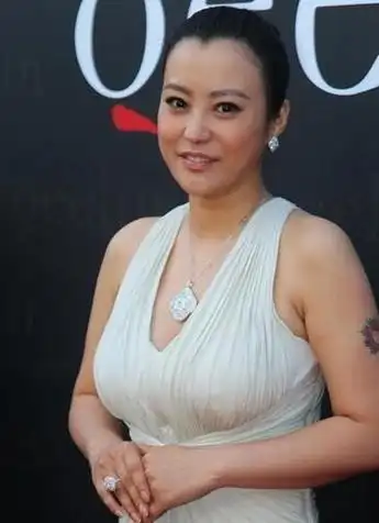 以前很胖的女明星有哪些(谁说一胖毁所有)(27)