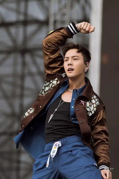 在格莱美音乐节北京站的舞台上,陈伟霆极强的舞台表现力碰撞酷帅style