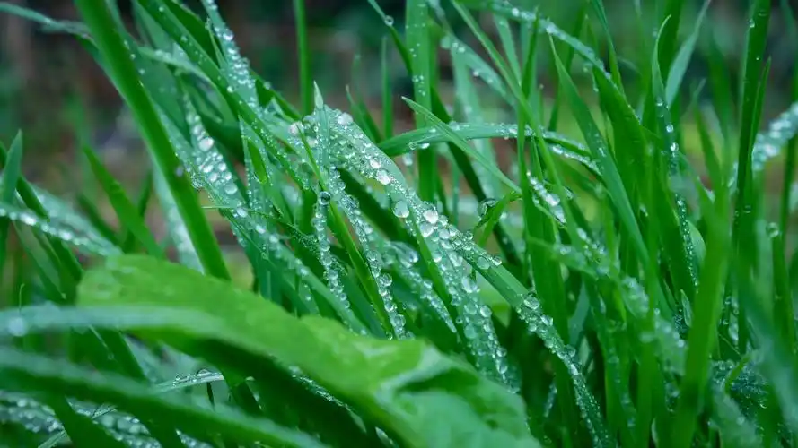 88m上传时间:2020-06-16壁纸标签:护眼4k壁纸封面图护眼壁纸【506】