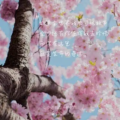 歌词海报――林忆莲《至少还有你》