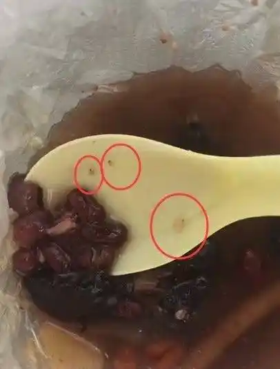 唐女士把汤喝到一半时,居然发现汤里漂浮着白色的虫子,而且数量还很多