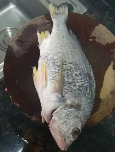 先把这条白腊鱼从冰箱里拖出来,解冻