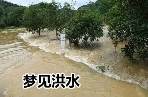 做梦梦见洪水泛滥好不好?