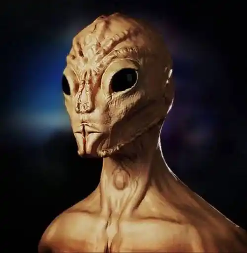 最新研究发现的外星人照片