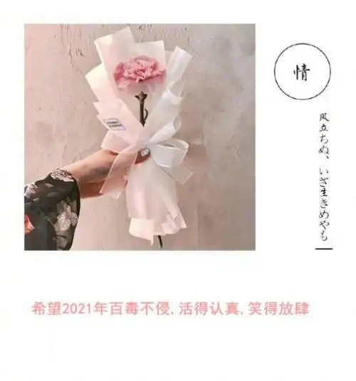 抖音希望2021年百毒不侵,活得认真,笑得放肆的图片背景图高清版图1