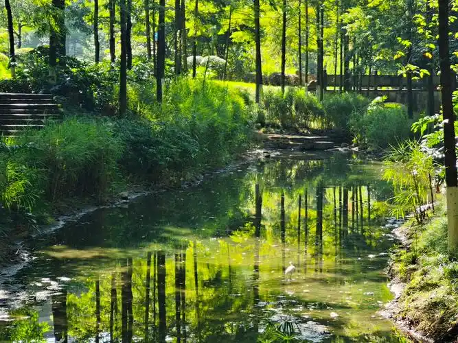 生活照捕捉的美丽风景72