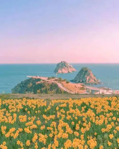 2021给自己打气的句子,干净励志,挑一句做个性签名