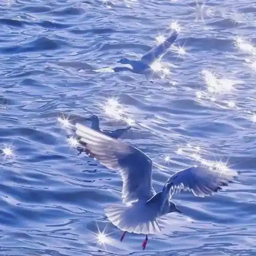 ins治愈系蓝色背景图