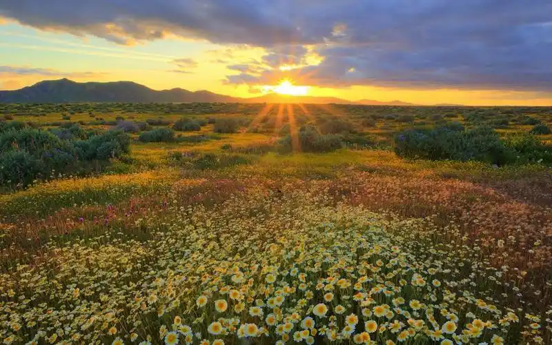 唯美大自然风景摄影图片电脑壁纸