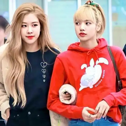 朴彩英一想到她要和lisa一起住了,她就忍不住开心,lisa看着她笑的这么