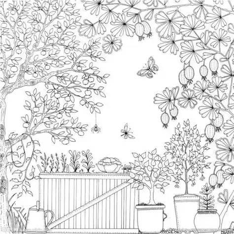 秘密花园的花朵简笔画