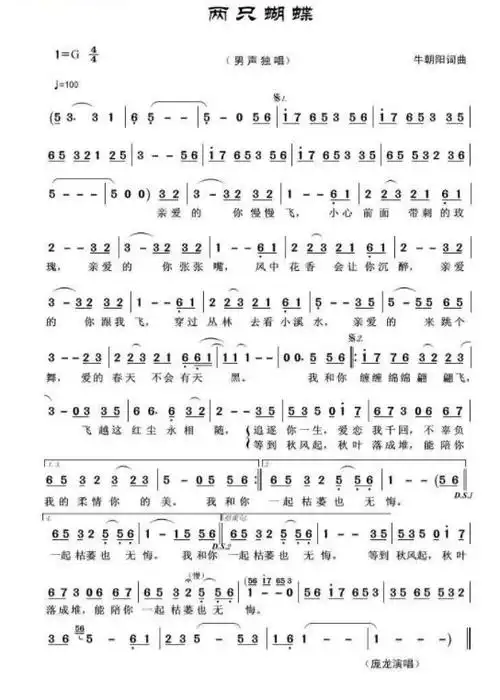 《两只蝴蝶》流行音乐简谱