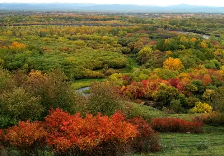 莫日格勒河两岸的灌木呈现出黄色,红色,绿色,组成草原的大美秋色.