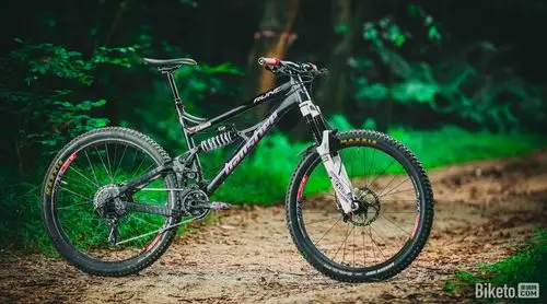 妖气冲天bansheerune650b整车测评