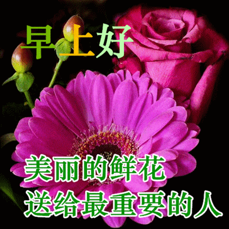 谢谢各位老人表情包 - 搜狗图片搜索