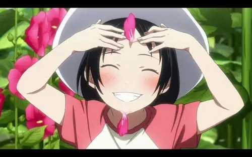 智子-堆糖,美好生活研究所