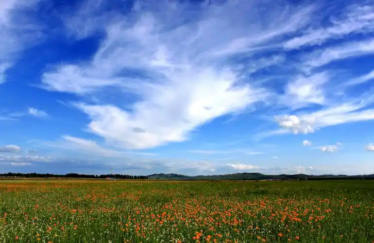 天下第一草甸五花草甸