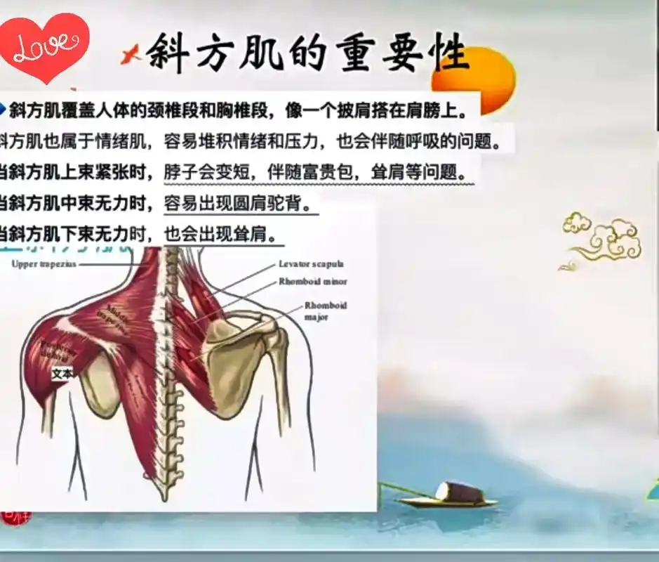 导致斜方肌过大的4个原因: 1.圆肩驼背  2.胸椎变直 3 - 抖音