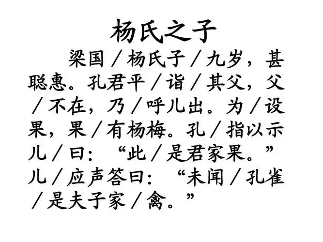 《杨氏之子》ppt课件