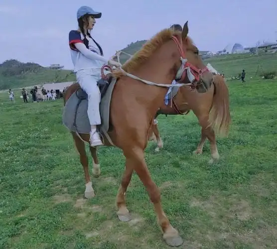 杨幂骑电瓶车技术不好摇摇欲坠 杨幂骑马比开电瓶车反而更轻松