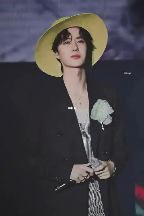 你可曾见过无人区芍药_芍药_壁纸_王一博_王一博壁纸_娱乐_明星娱乐