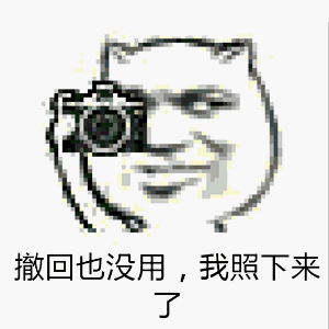 撤回也没用,我昭下来了_我昭_撤回_没用表情