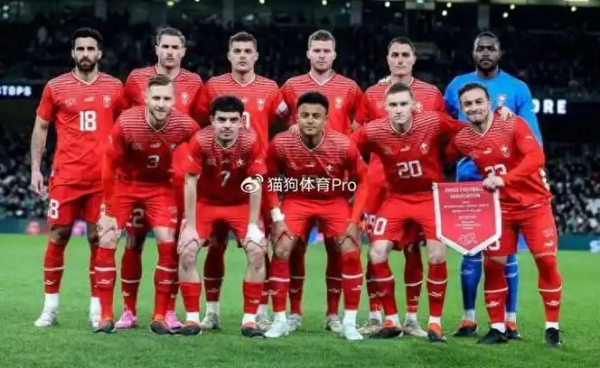 欧洲杯a组巡礼瑞士队:军刀锋芒毕露,黑马舍我其谁