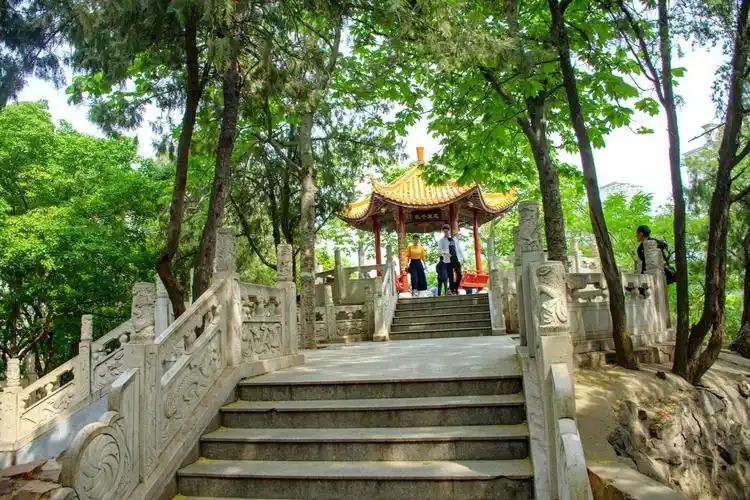 发现郑州美景丨紫荆山公园并不是山,以前没有山,建造初叫东方红_网易