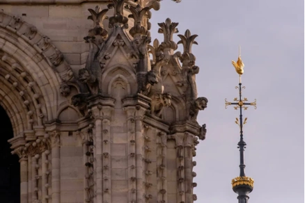 好消息|历经5年,巴黎圣母院尖塔将重现巴黎天空,还原度极高!