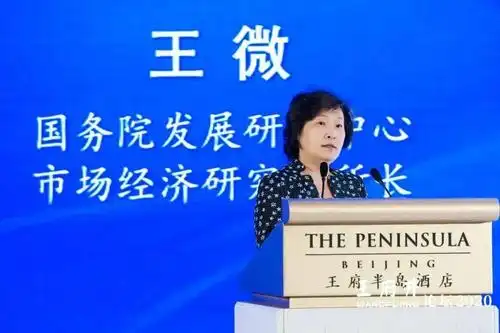 王微:中国消费市场高度分发 建设国际消费中心城市正当