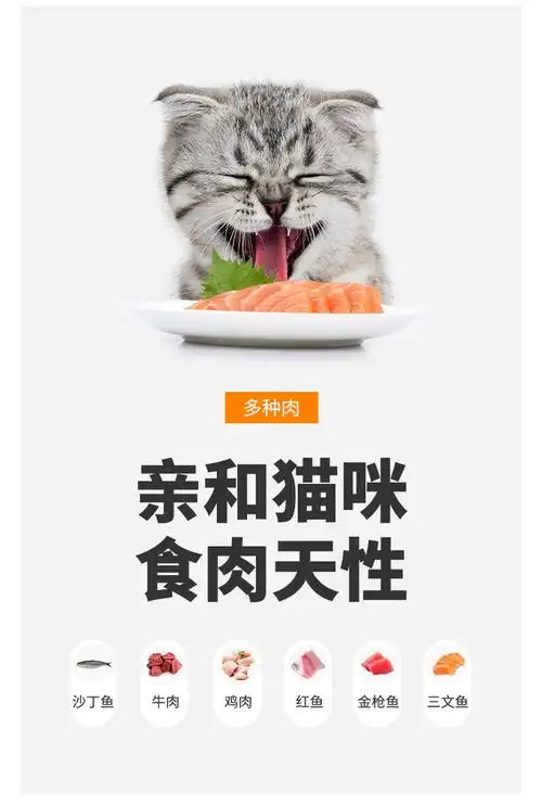 胡歌代言膳食营养全面均衡卫仕膳食营养全价幼猫粮18kg