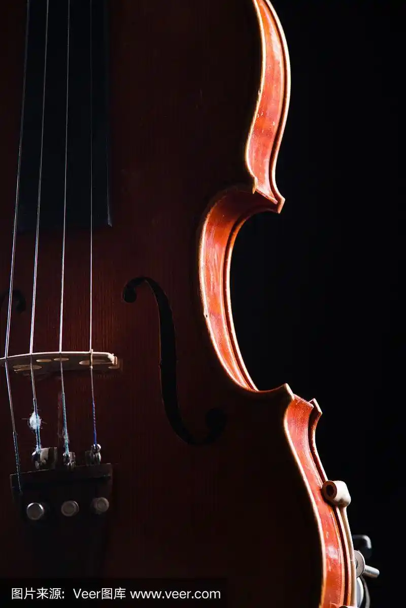 小提琴,木制,侧面视角,黑色背景,管弦乐队