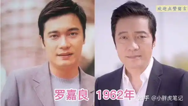 18位香港知名男明星今昔吴镇宇越老越好看魏骏杰一胖毁所有