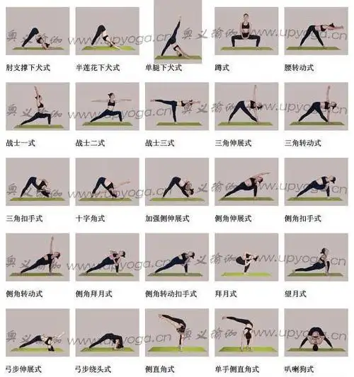 219个入门瑜伽体式先收藏吧