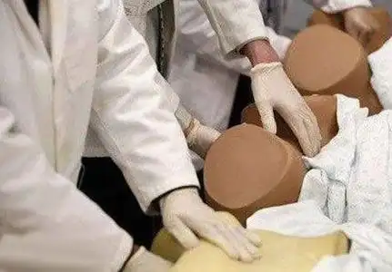 检查者戴无菌手套,观察外阴发育及阴毛分布情况;2.