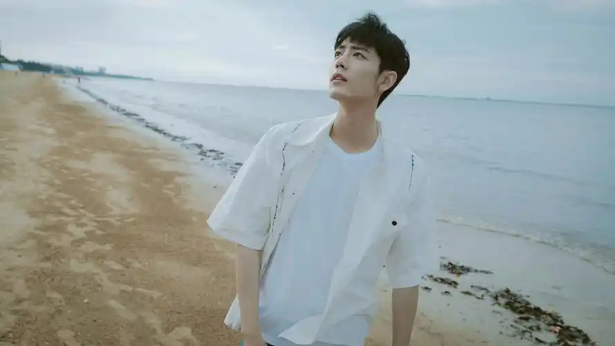 肖战:超越自我,向阳而生——励志奋斗的力量