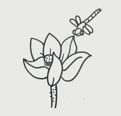 儿童简笔画,动物简笔画,蜻蜓简笔画,简笔画图片