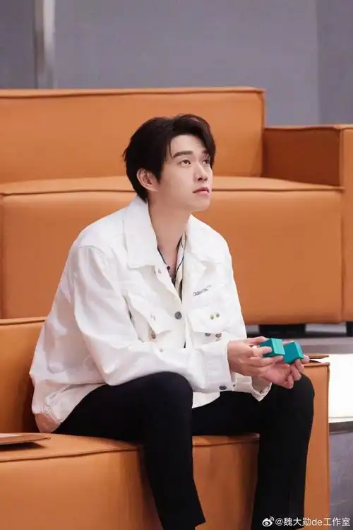 魏大勋魔方新世界